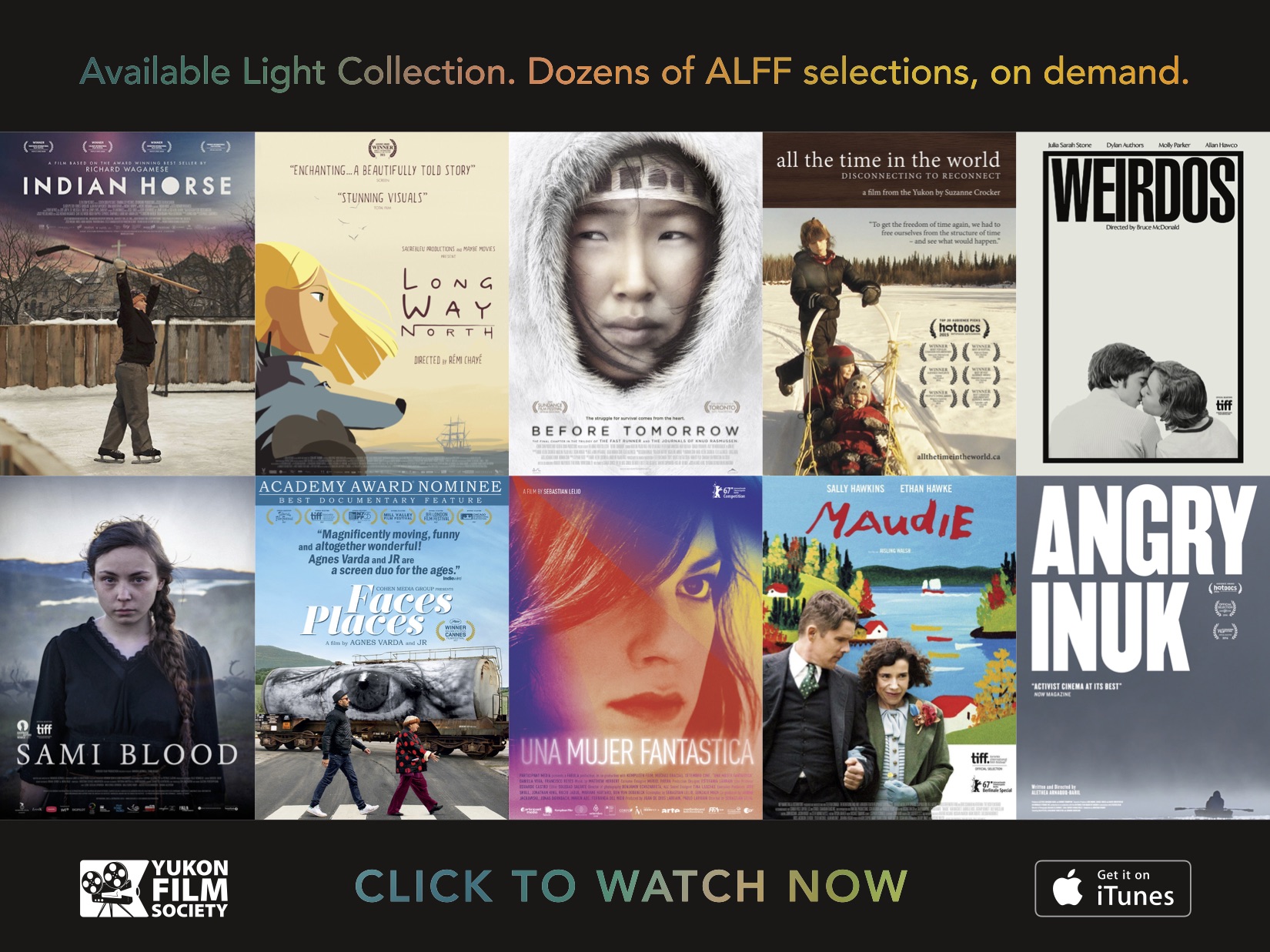 The films we’ve screened, at your fingertips