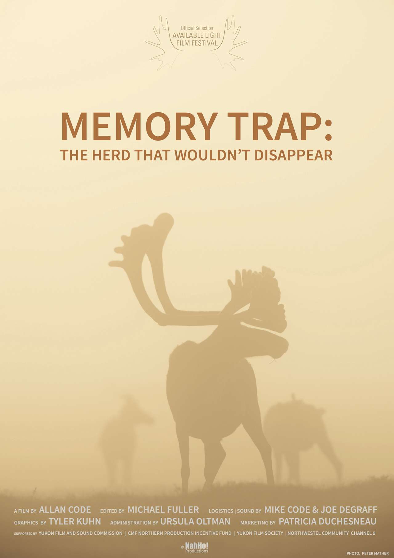 Memory Trap: The Herd That Wouldn’t Disappear 