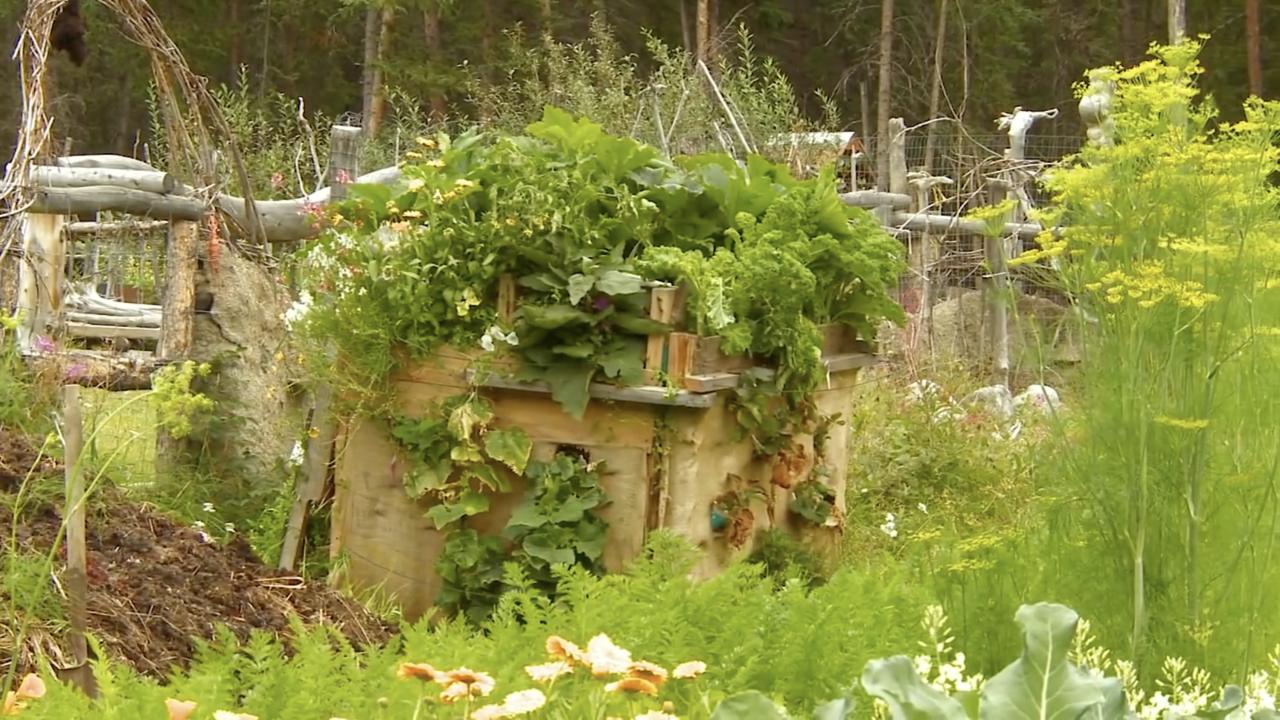 Episode 10 | Growing and Heating with Compost