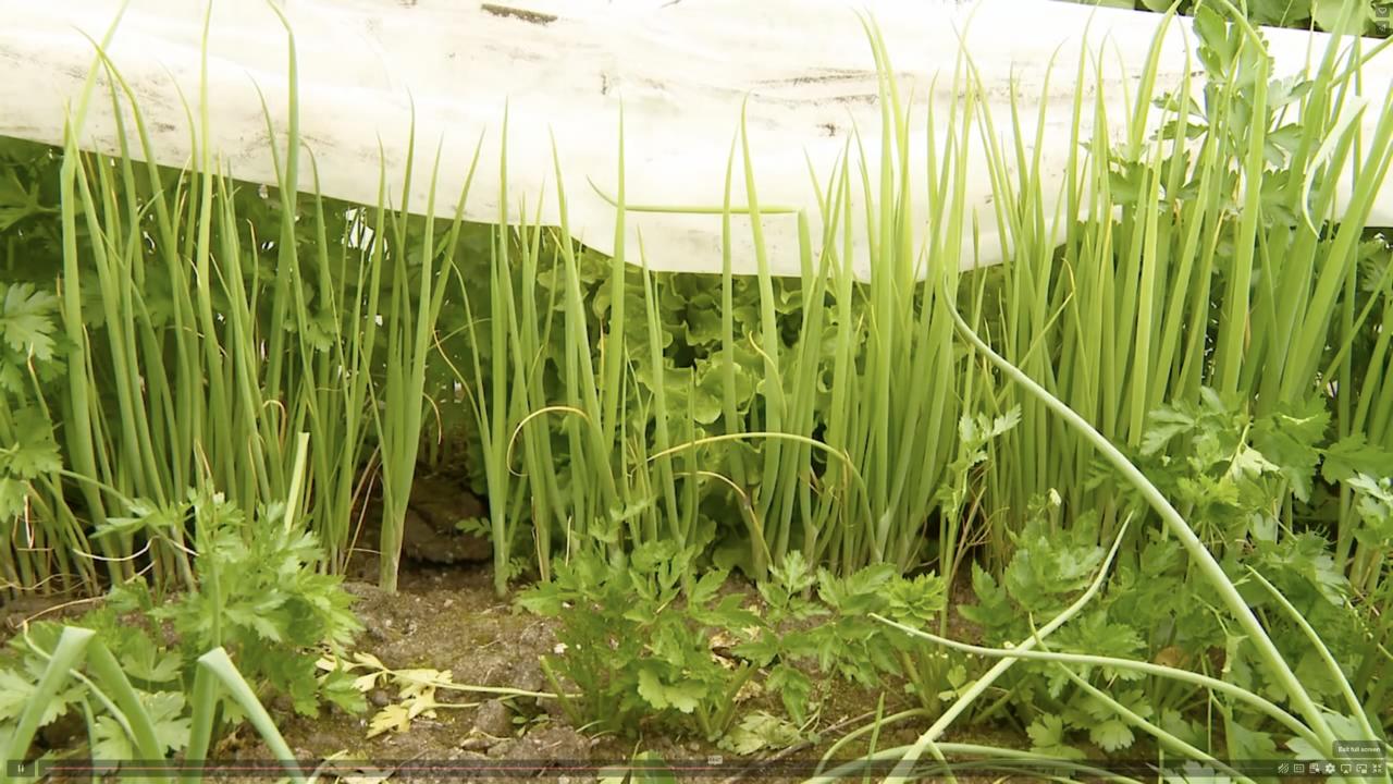 Episode 14 | Extending the Growing Season