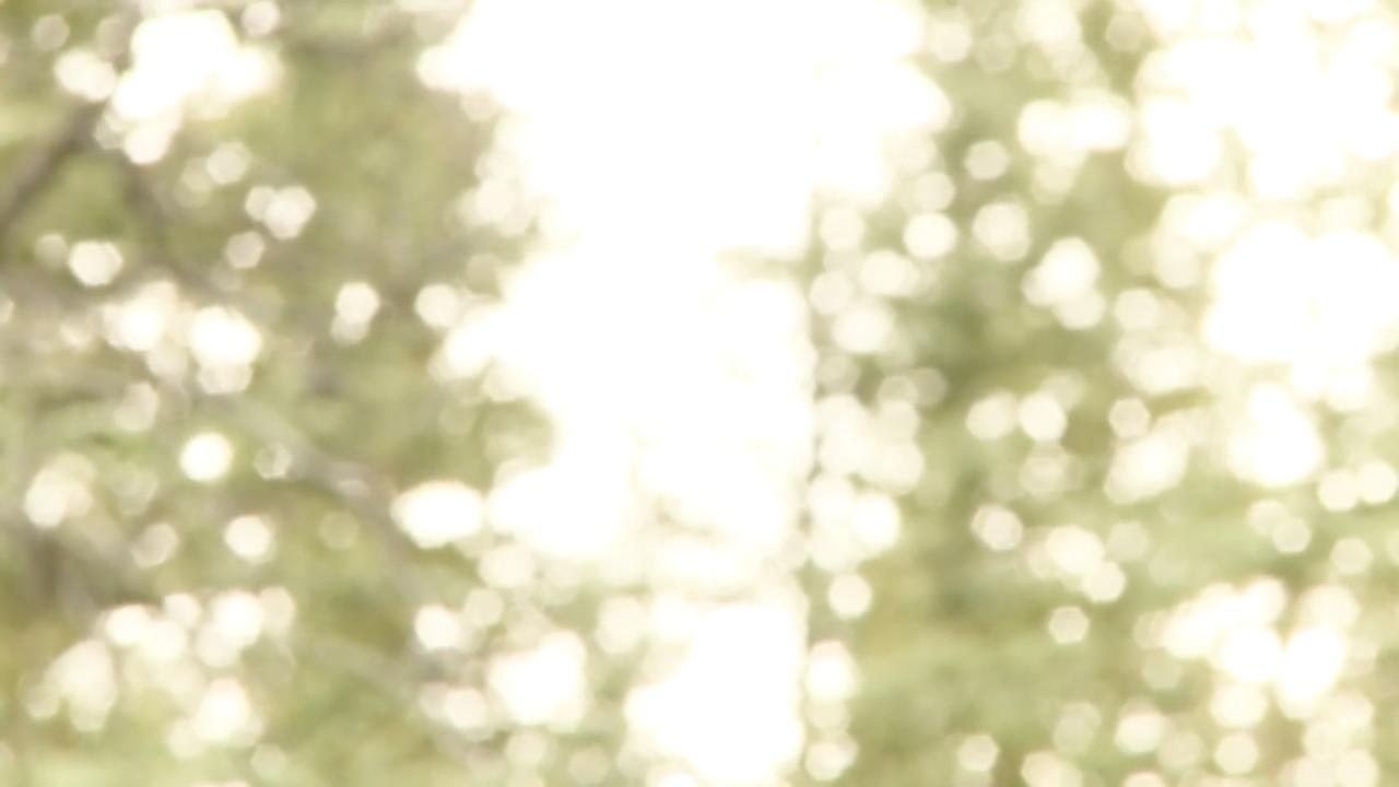 Episode 16 | Soil and the Sub Arctic Garden