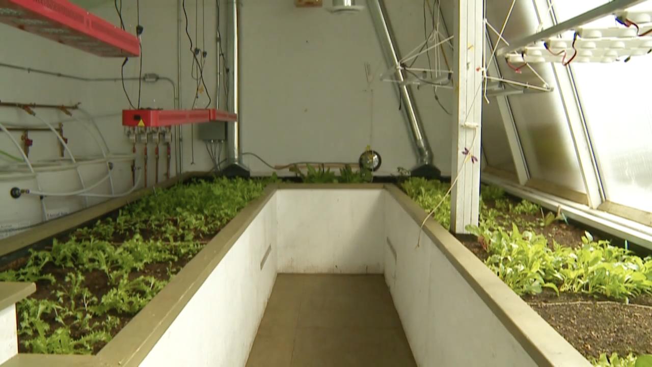 Episode 3 | Greenhouse