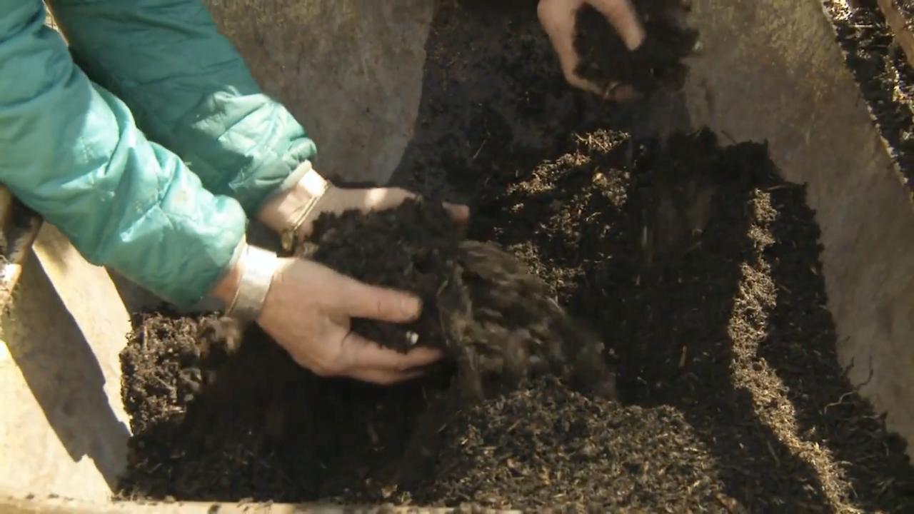 Episode 6 | Compost