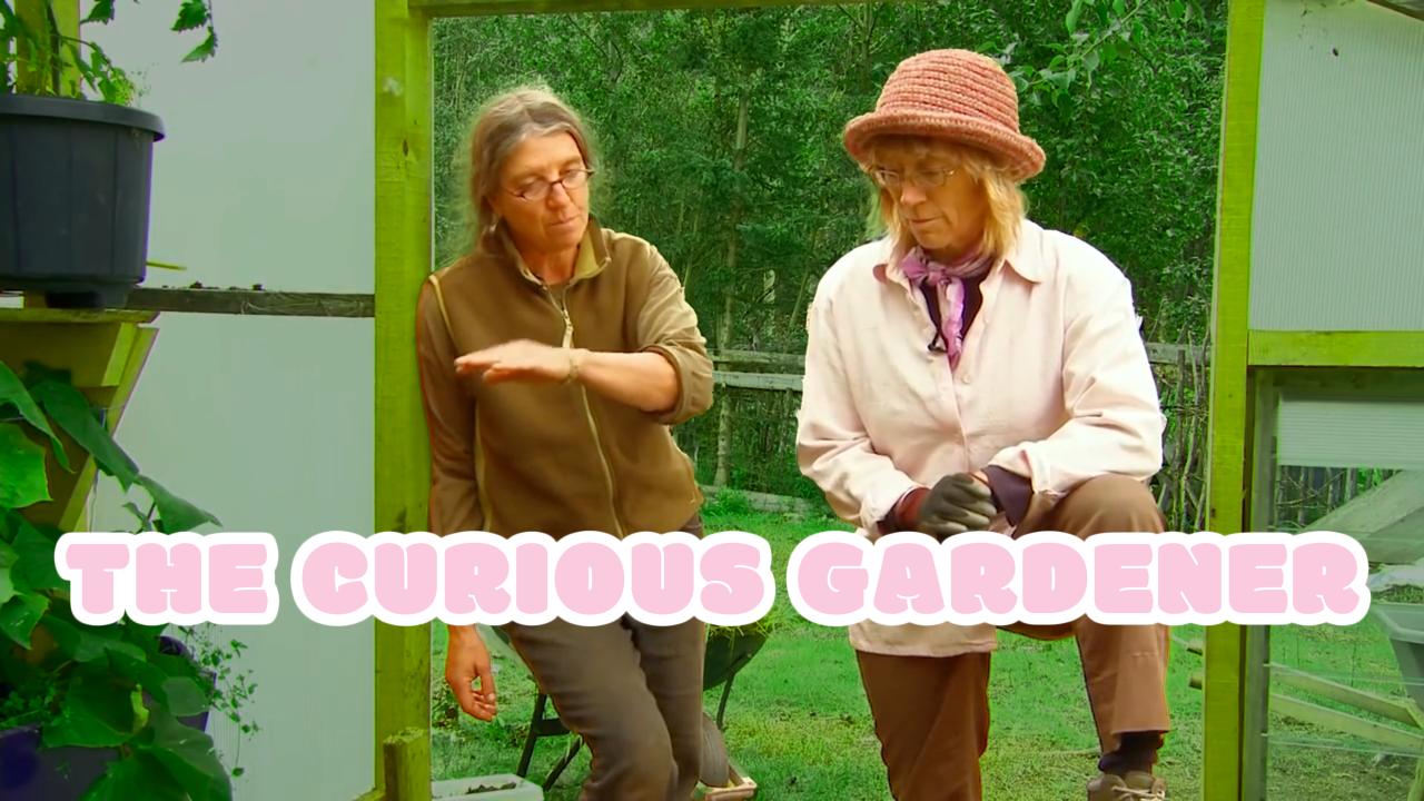 The Curious Gardener
