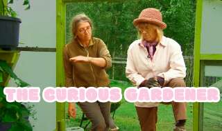 Still from The Curious Gardener